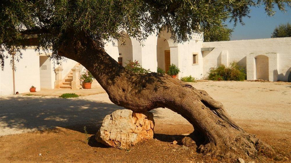 Masseria De Michele Montalbano  Exterior photo